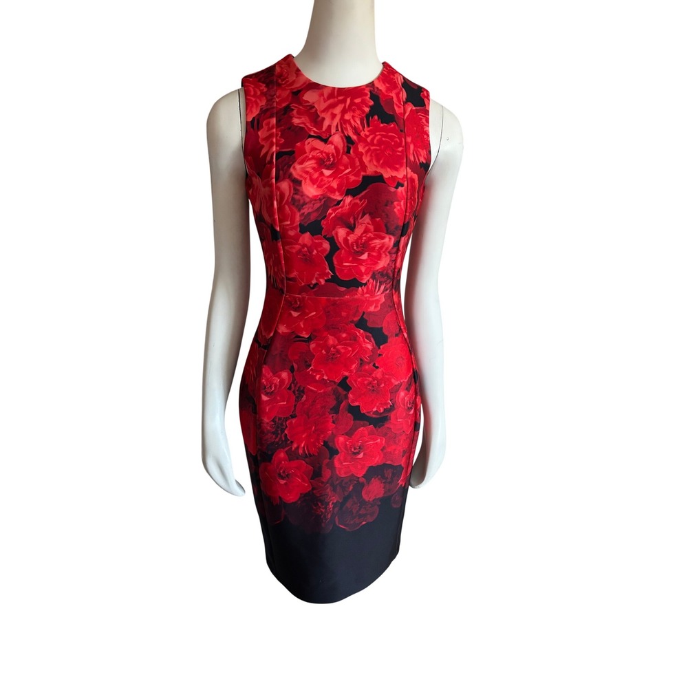 Calvin Klein Red Floral Ombre Sheath Dress Sleeveless Gold Zip Sz 2